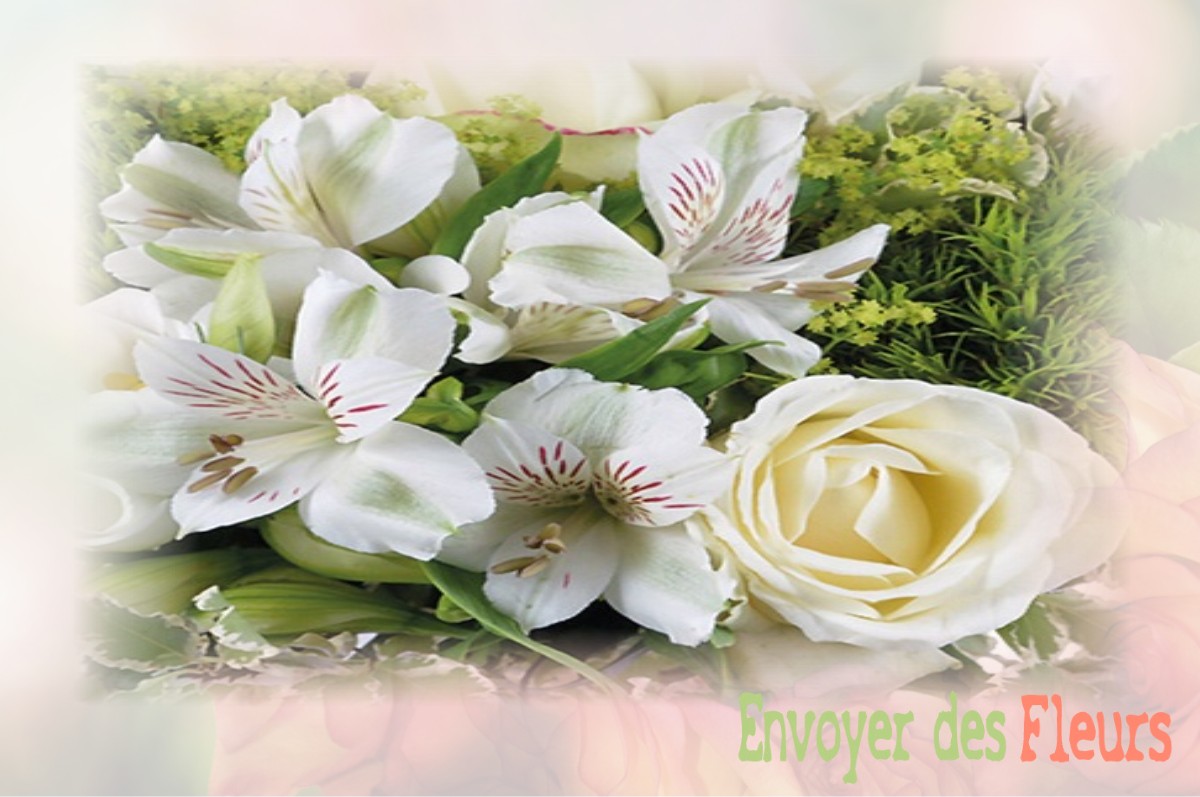 envoyer des fleurs à à SAINT-OUEN-DE-THOUBERVILLE